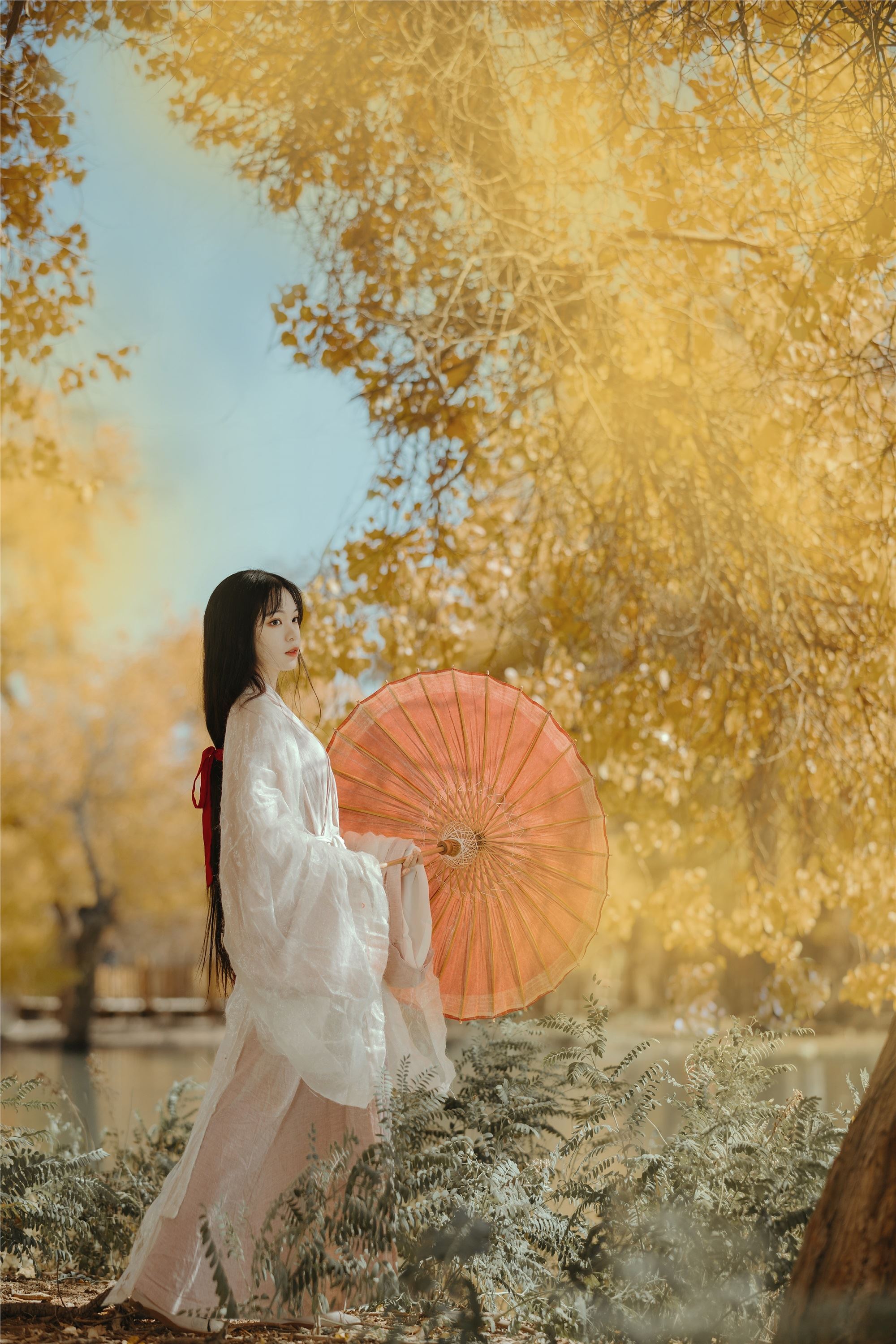 YITUYU艺图语 2021.08.16 蒹葭 薄荷